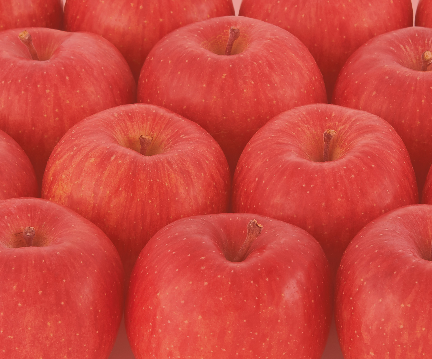 東根のりんごの食べ頃と保存方法