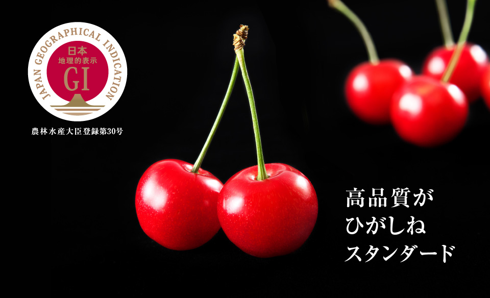 GI Higashine-grown cherry