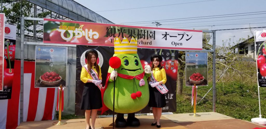 さくらんぼ観光果樹園オープン 日本地理的表示 Gi 東根さくらんぼ